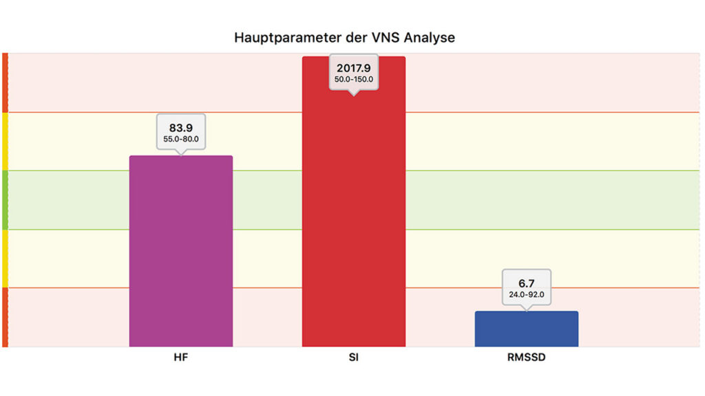 VNS-Analyse Pforzheim